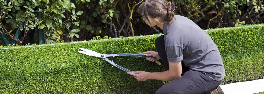 Professional landscaping
